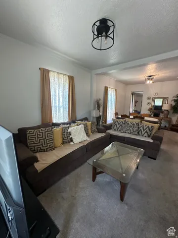 Living room featuring crown molding, overhead light fixture, and broad doorways