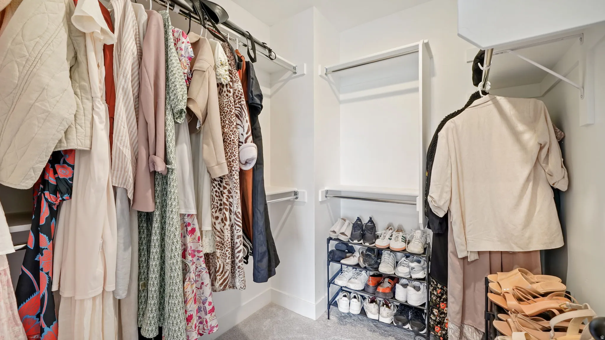 Walk-in closet featuring carpet flooring, white walls, and multiple built-in shelving units