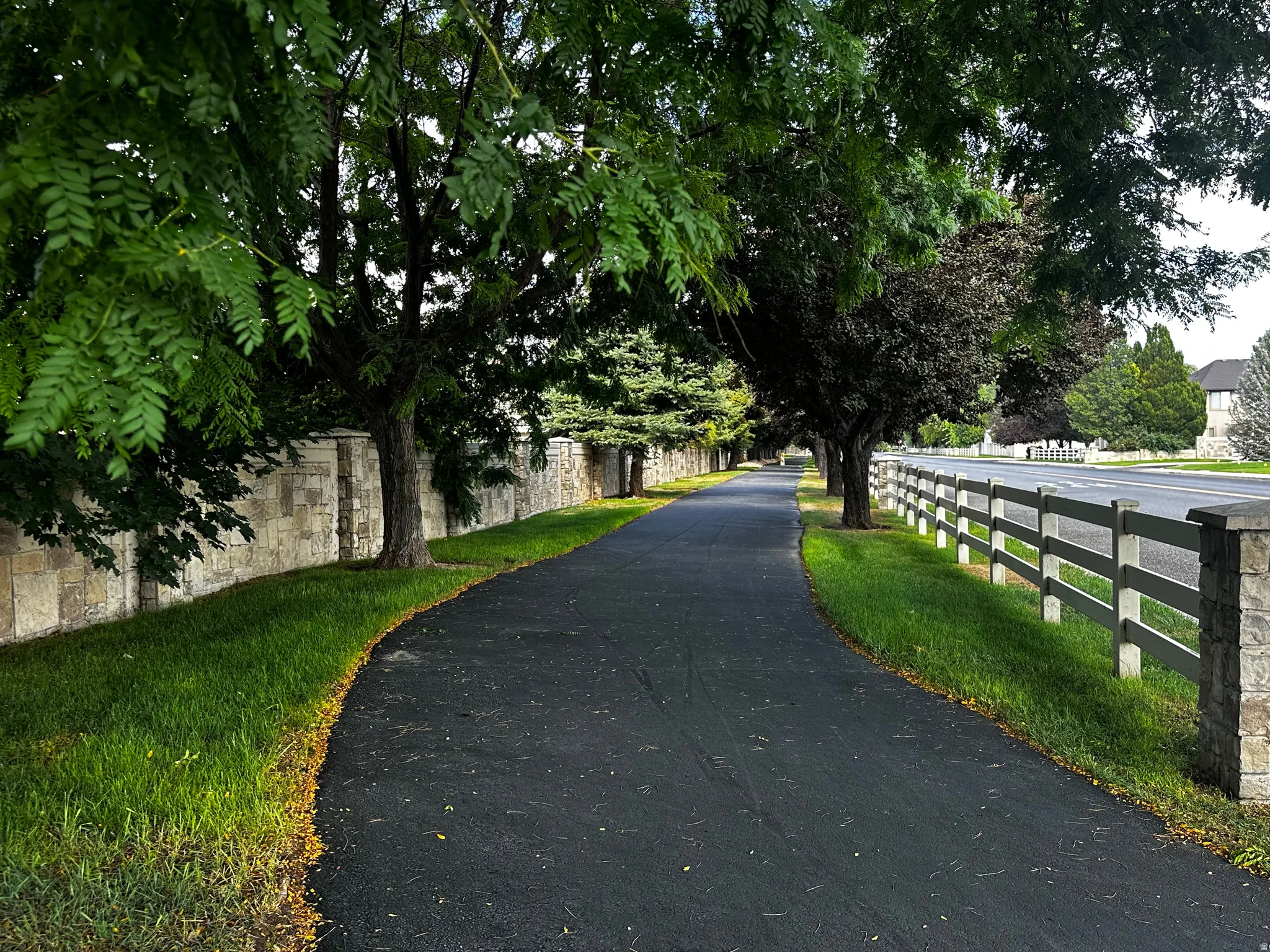 Paved pathway bordered by mature trees and a stone-clad wall