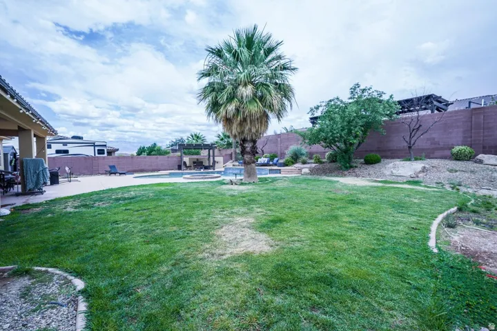 Expansive backyard featuring a lush lawn, established palm tree, and a concrete patio