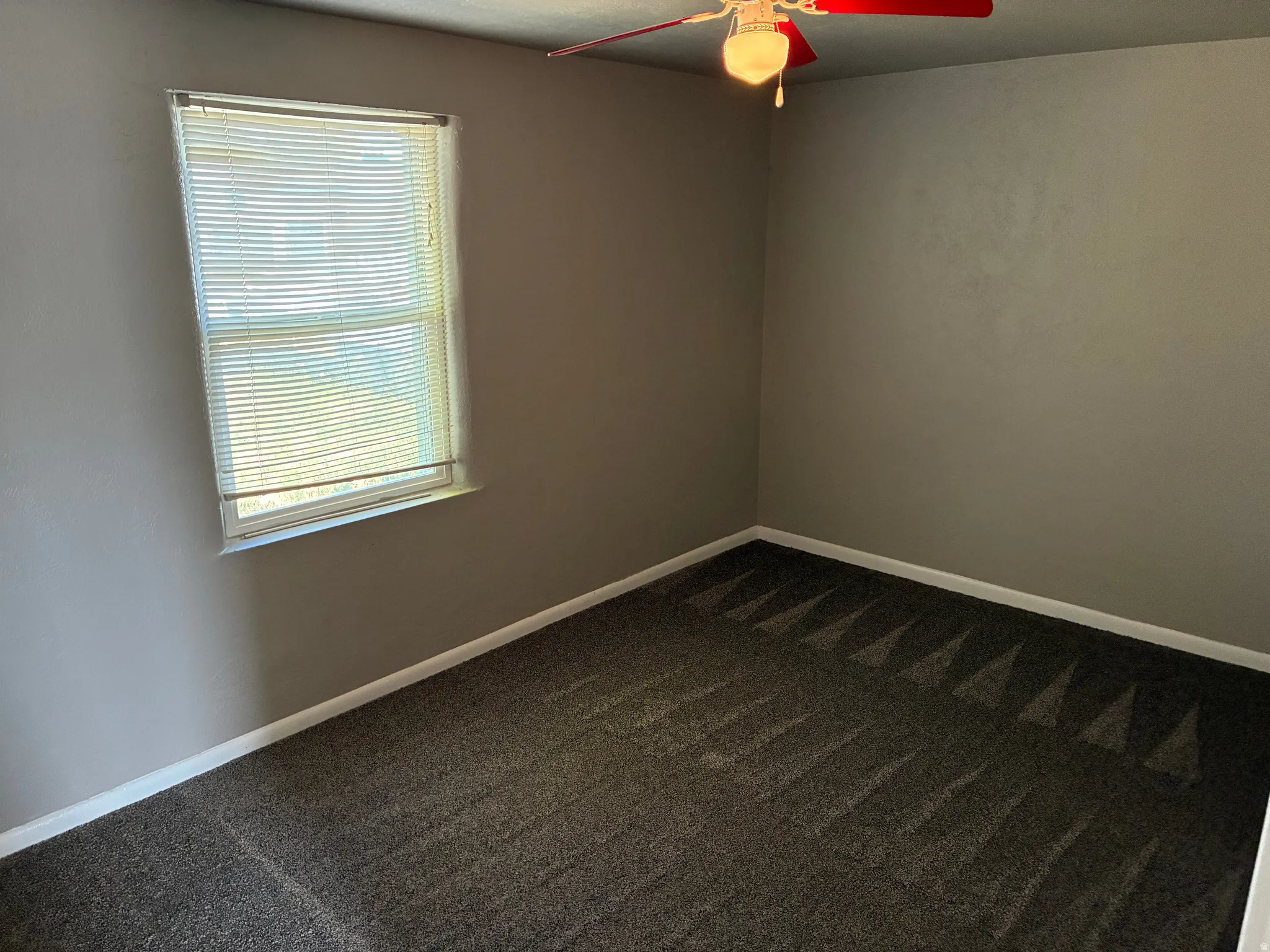 Carpeted interior space featuring a window with horizontal blinds, a ceiling fan with light fixture, gray painted walls, and white baseboards