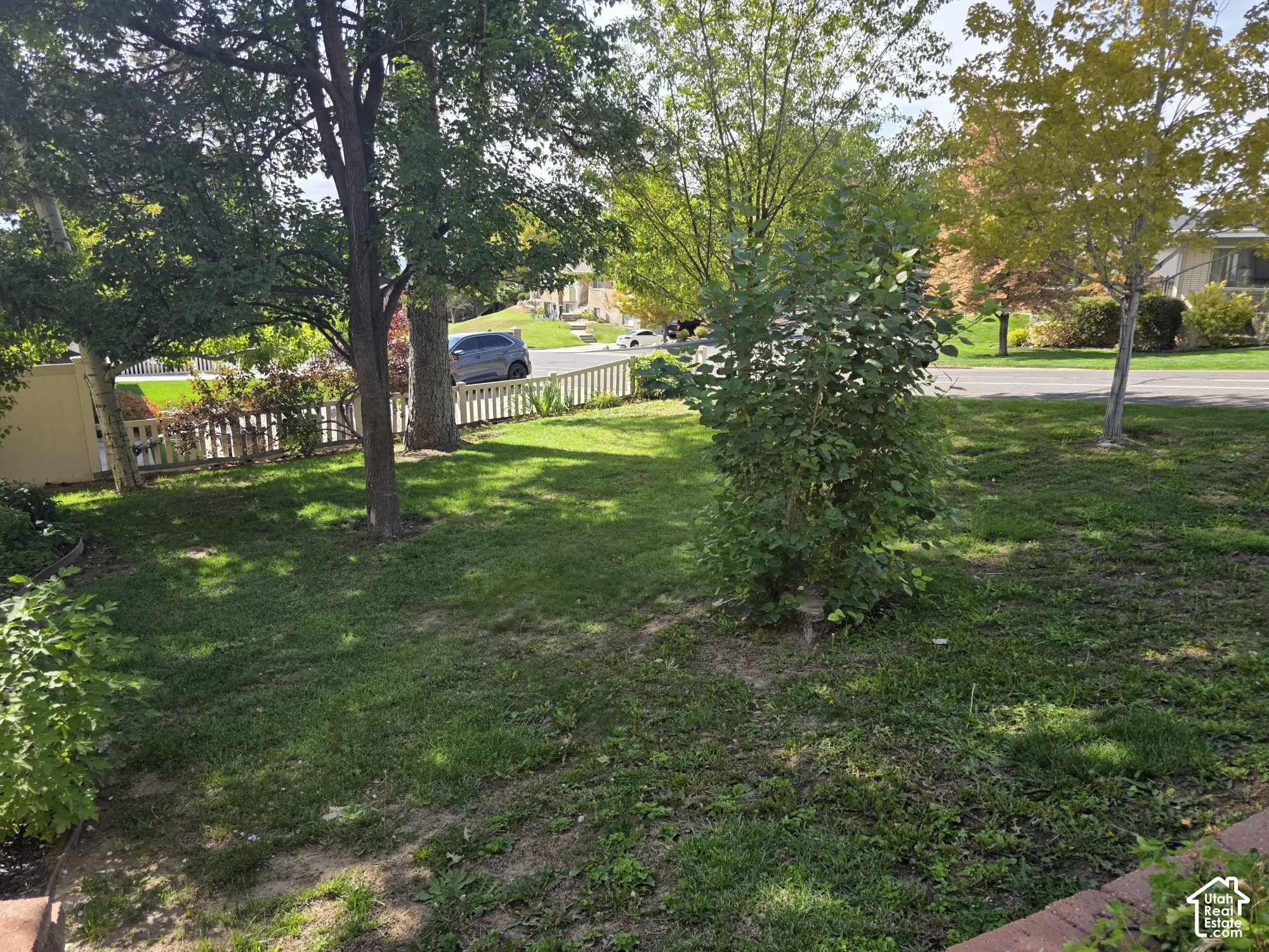 Lawn area with mature trees and a white picket fence