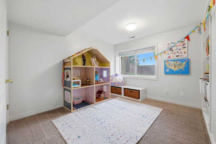 Carpeted room featuring a double-paned window, built-in shelving, and a ceiling light fixture