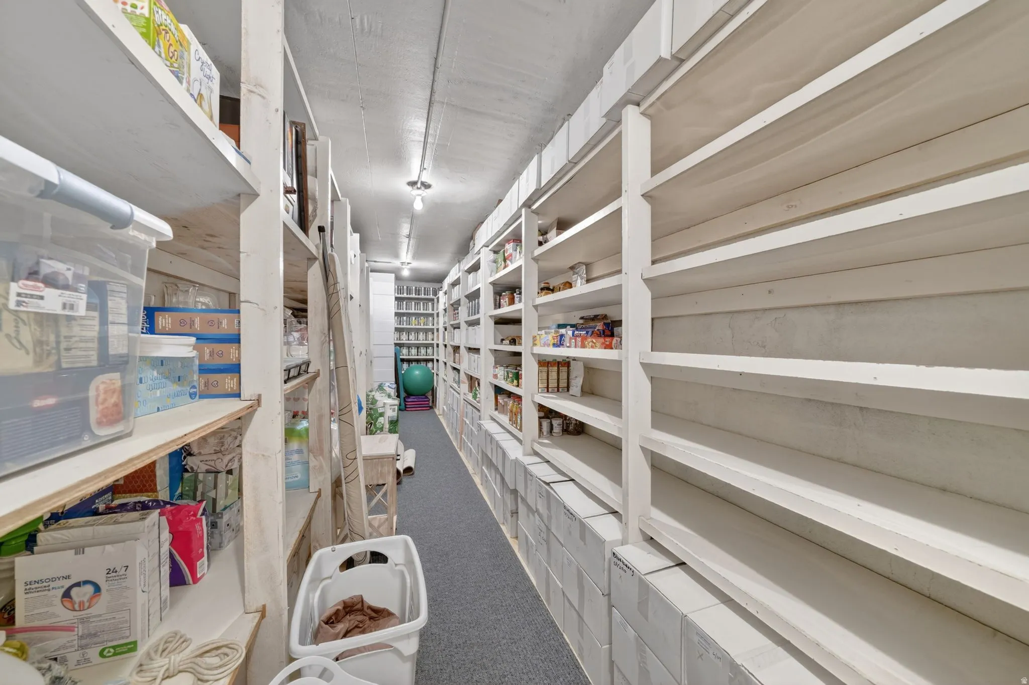 Dedicated storage room featuring extensive built-in shelving, durable carpeting, recessed lighting, and a concrete ceiling