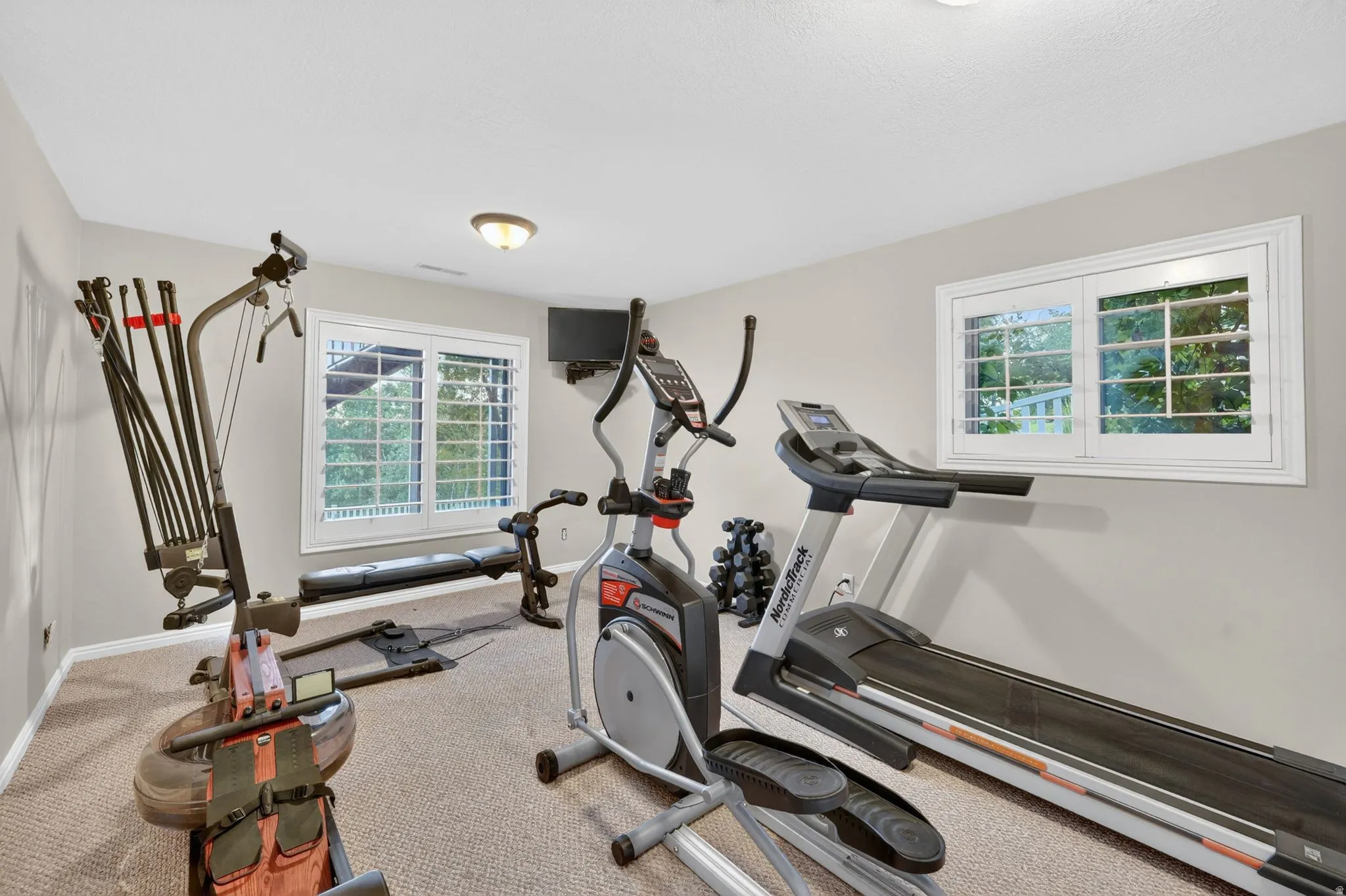 Spacious room with neutral wall paint, light carpet flooring, two windows with white trim, and a flush-mount ceiling light fixture