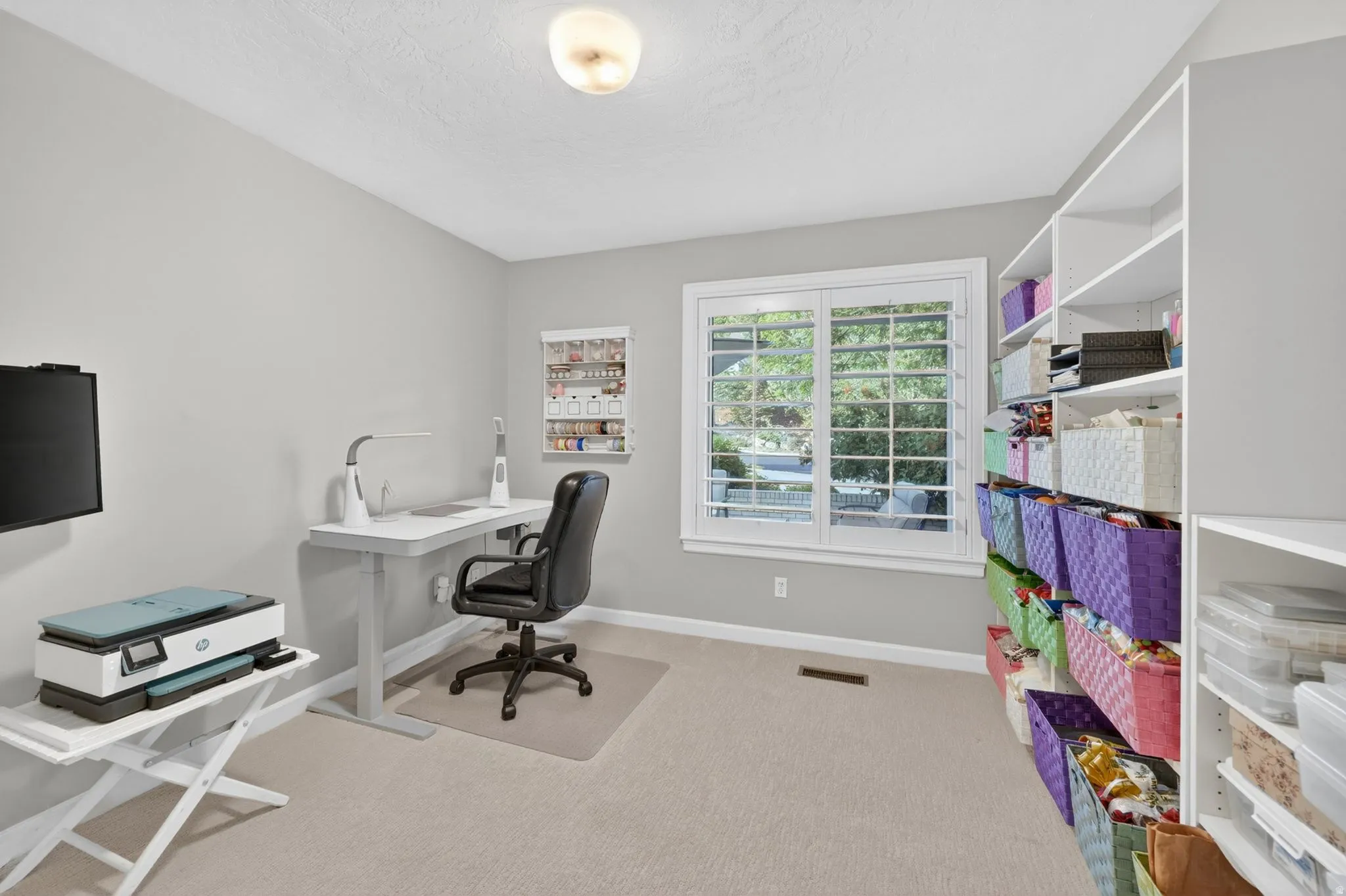 Neutral-toned room featuring a large window with white plantation shutters, built-in shelving, carpet flooring, and a flush mount ceiling light