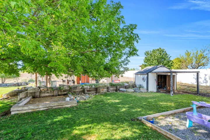 Expansive backyard featuring a manicured lawn, mature trees, and a storage shed with an attached covered structure