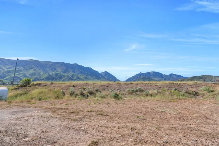 Expansive undeveloped lot with natural ground cover