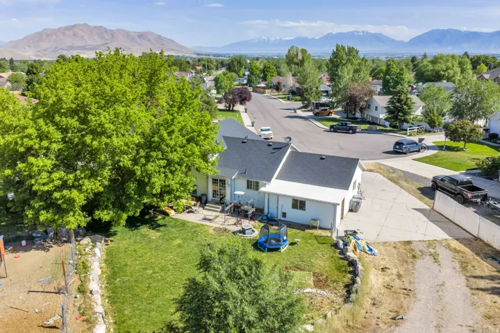Expansive backyard featuring a large green lawn, mature trees, and a concrete patio