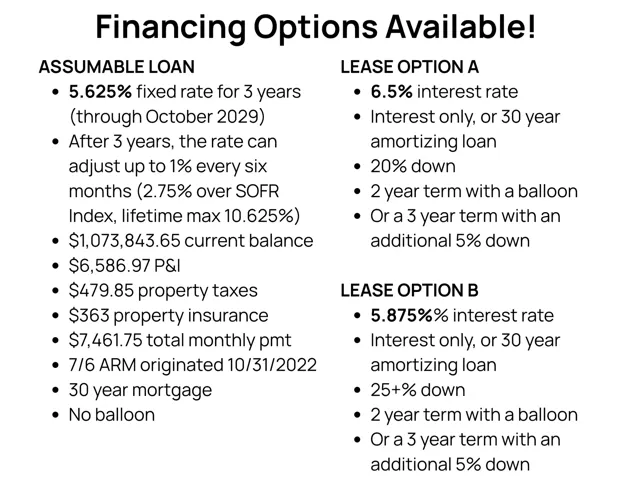 Financial Disclosure Document. Outlining loan terms and specific payment structures available for the property