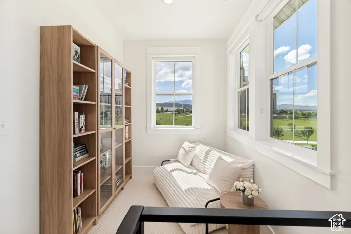Bright interior space featuring multiple large windows, wood-finish shelving with glass-front cabinets, and neutral carpeting