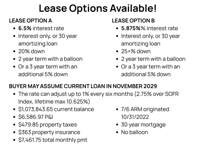 Lease and Financing Summary. Outlining available loan structures and current obligation details for the property