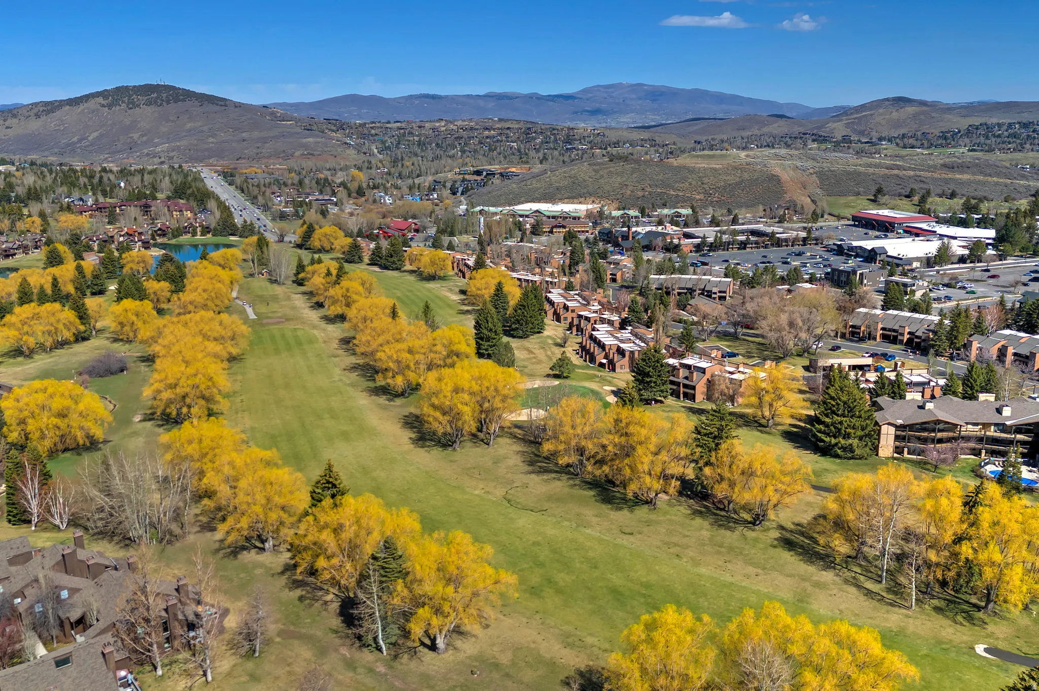 Expansive green spaces featuring mature golden trees and varied foliage