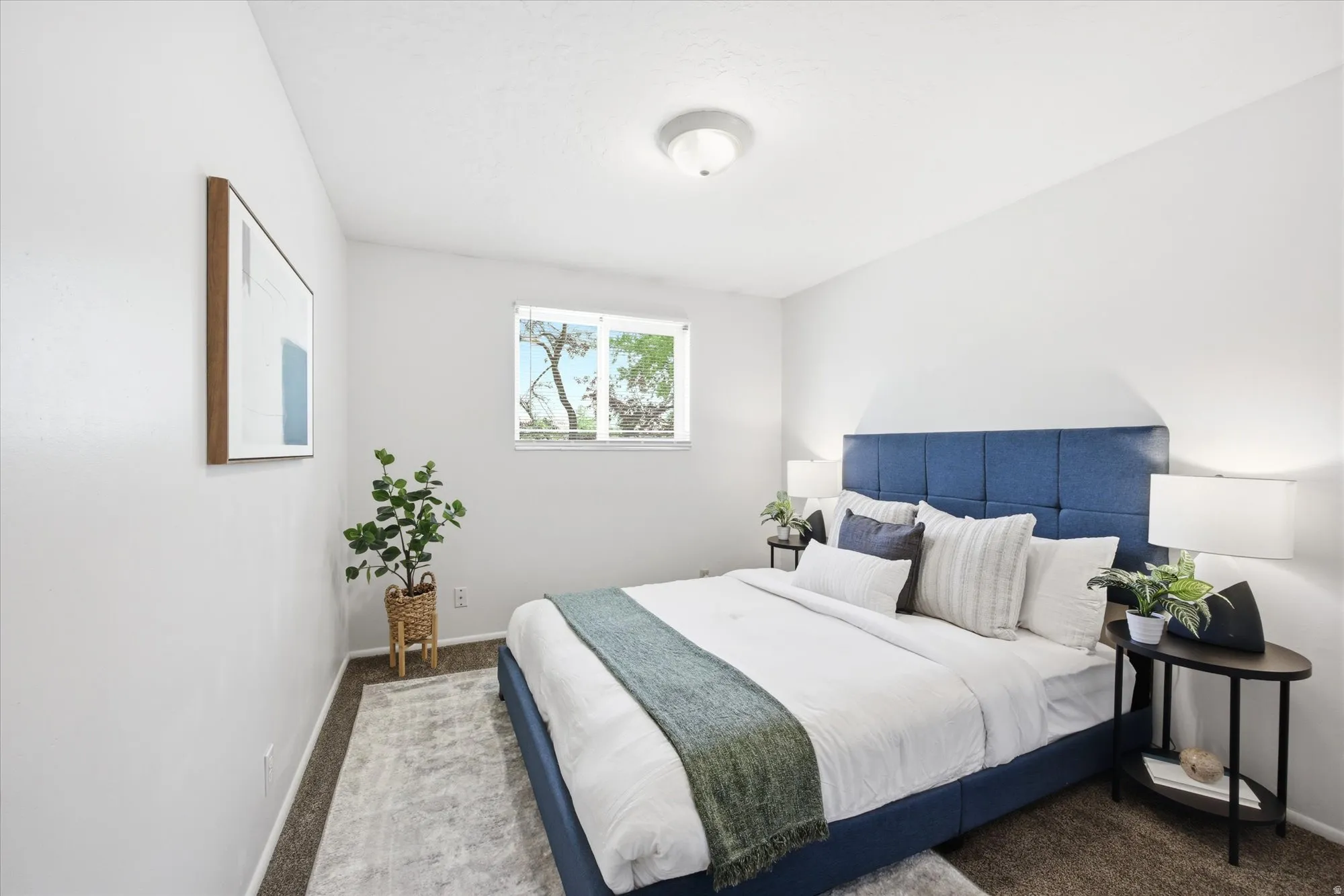 Room featuring light gray walls, brown carpet flooring, and a single window