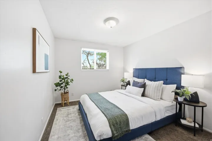 Room featuring light gray walls, brown carpet flooring, and a single window