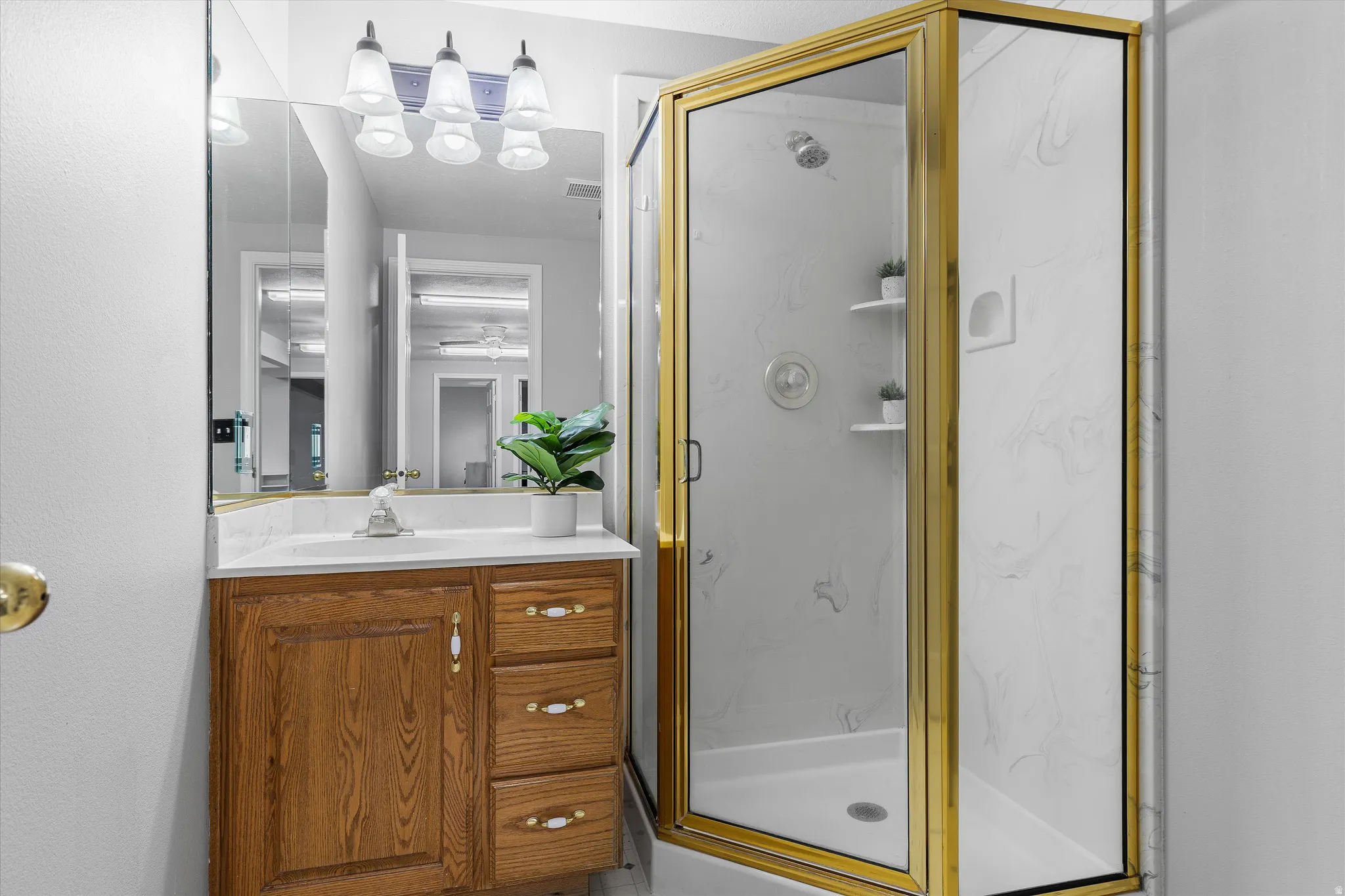 Basement Bathroom with Walk-In Shower. Bathroom featuring a walk-in shower with a gold-toned frame and a single vanity with a wood-finish cabinet, white countertop, and mirrored medicine cabinet