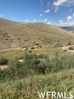 Expansive landscape featuring a gently sloping hillside