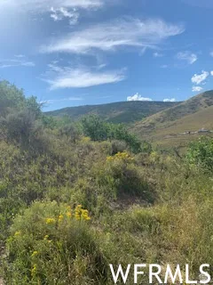 Expansive natural landscape featuring rolling hills, varied green foliage, and a clear blue sky with scattered clouds