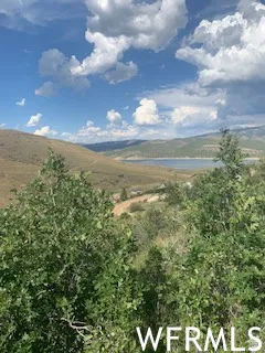 Expansive natural landscape featuring a prominent body of water, rolling hills, and abundant green foliage