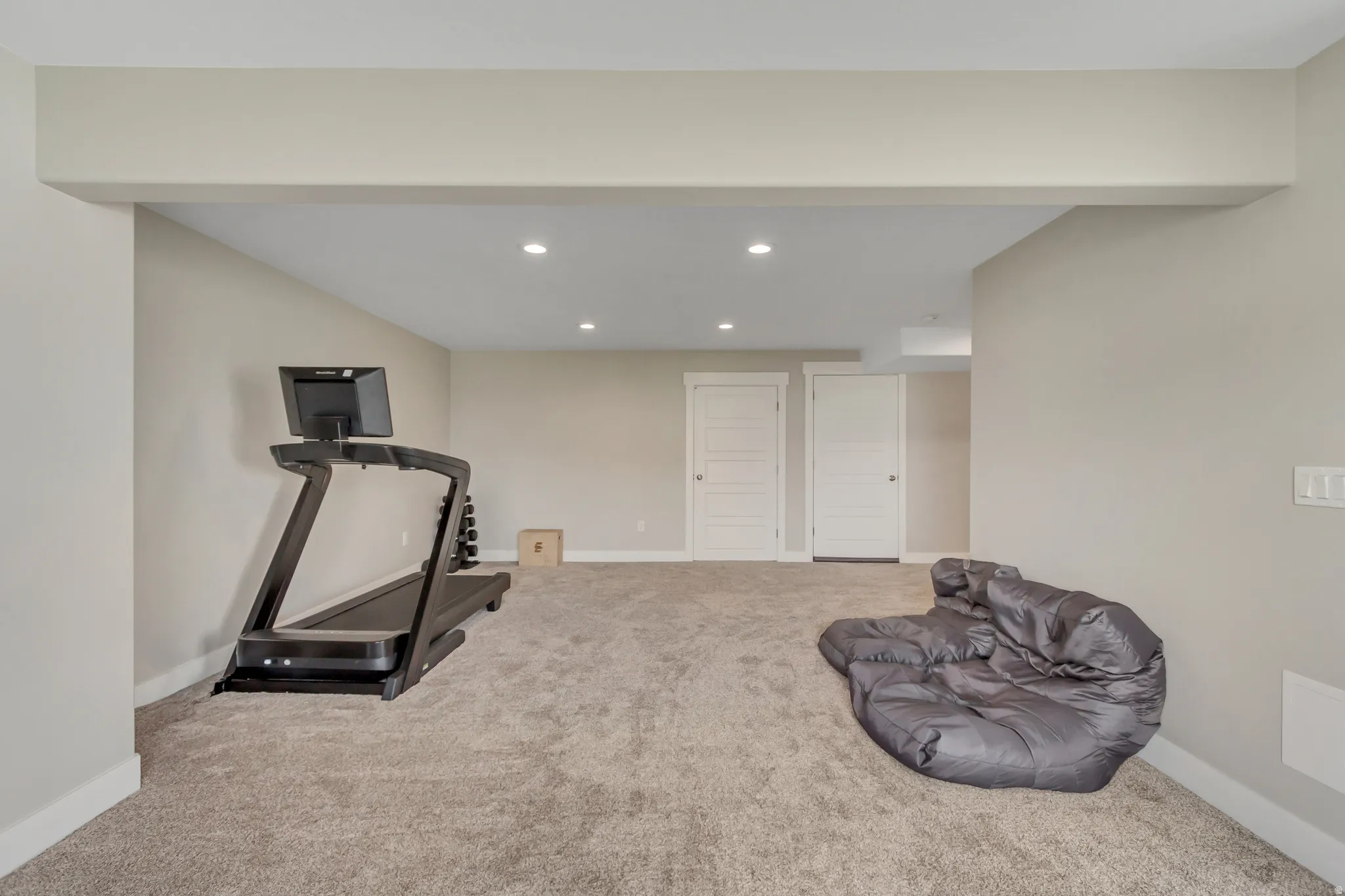 Walk-out basement features 3 large storage closets.