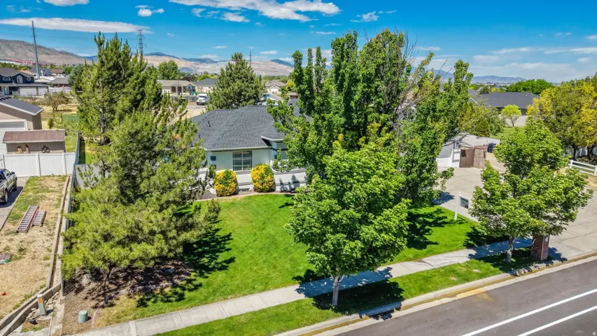 Expansive front lawn with mature trees and established landscaping