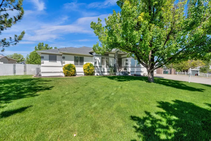 Expansive front yard featuring a verdant lawn, mature shade tree, and well-maintained shrubbery