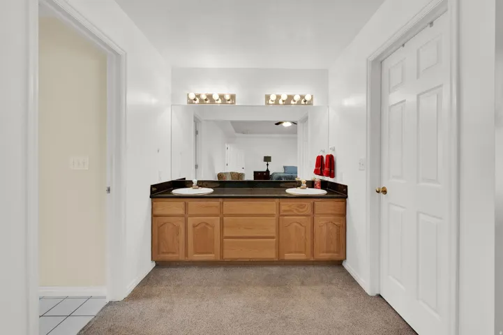 Dual sink vanity featuring wood cabinetry, dark countertops, and overhead lighting