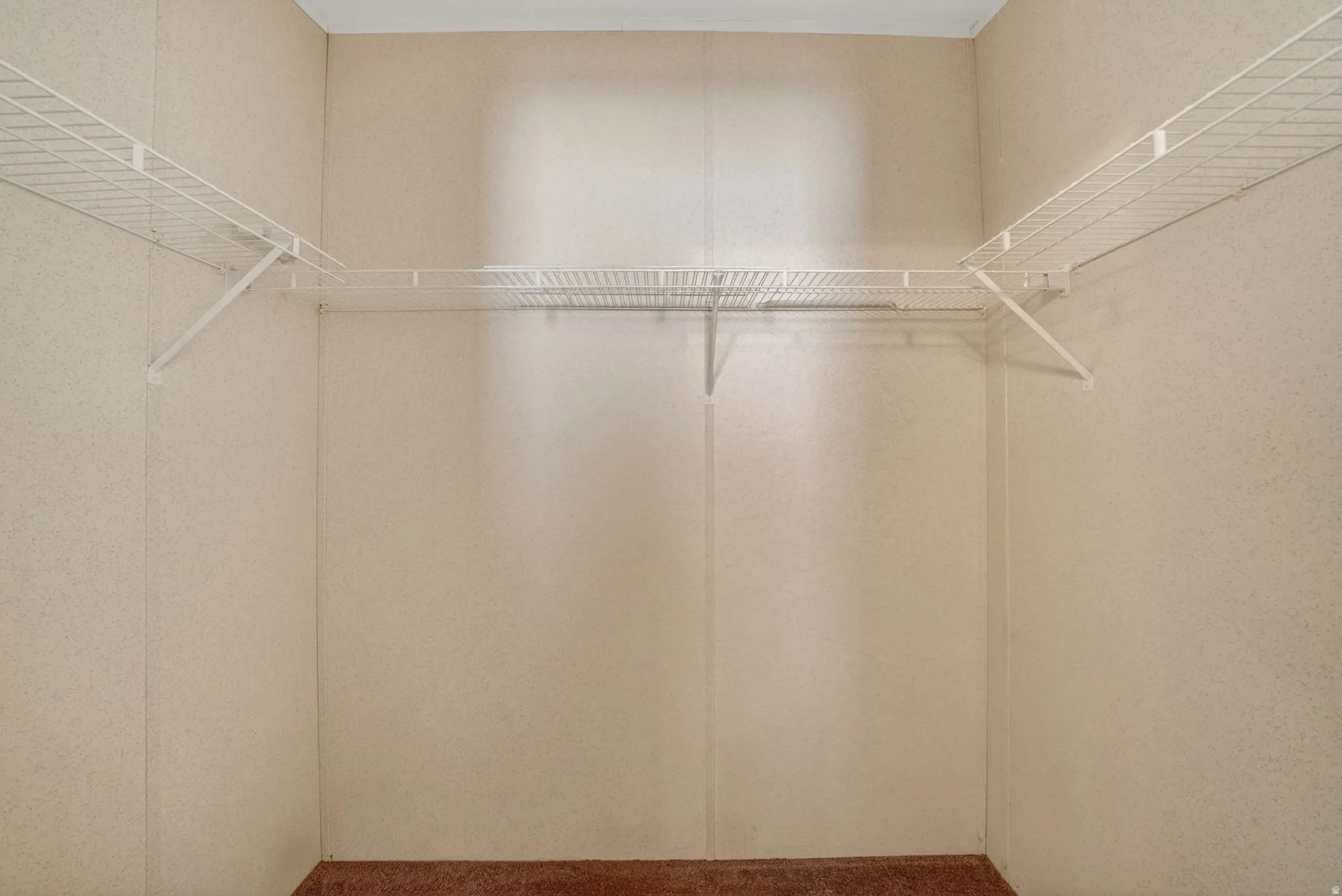 Closet featuring white wire shelving, hanging rods, light-toned wall panels, and carpet flooring