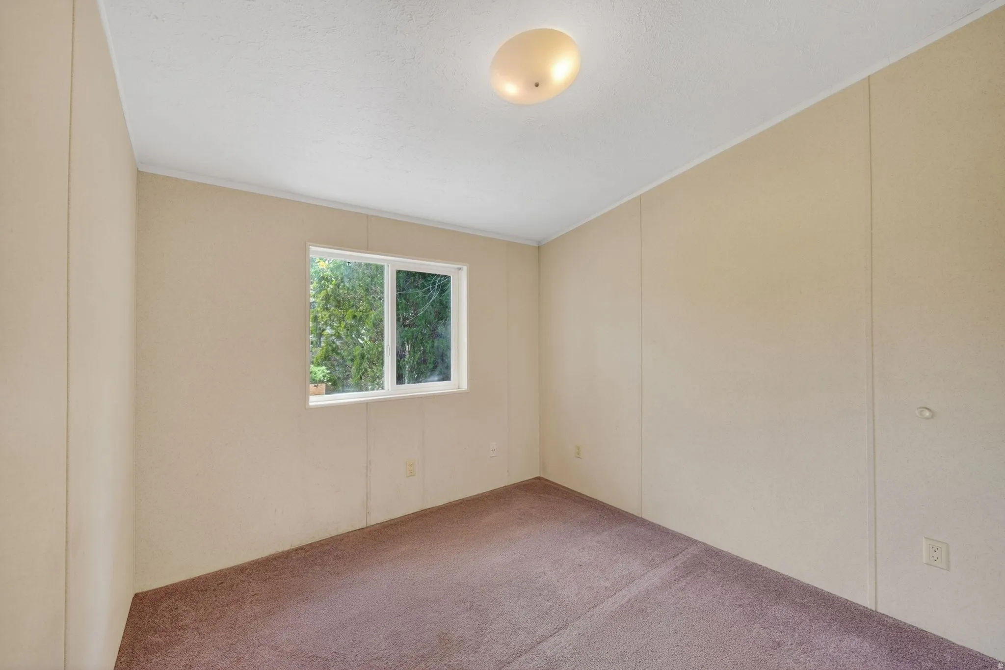 Bright room featuring a window with exterior foliage, neutral-toned wall paneling, and a flush-mount ceiling light fixture