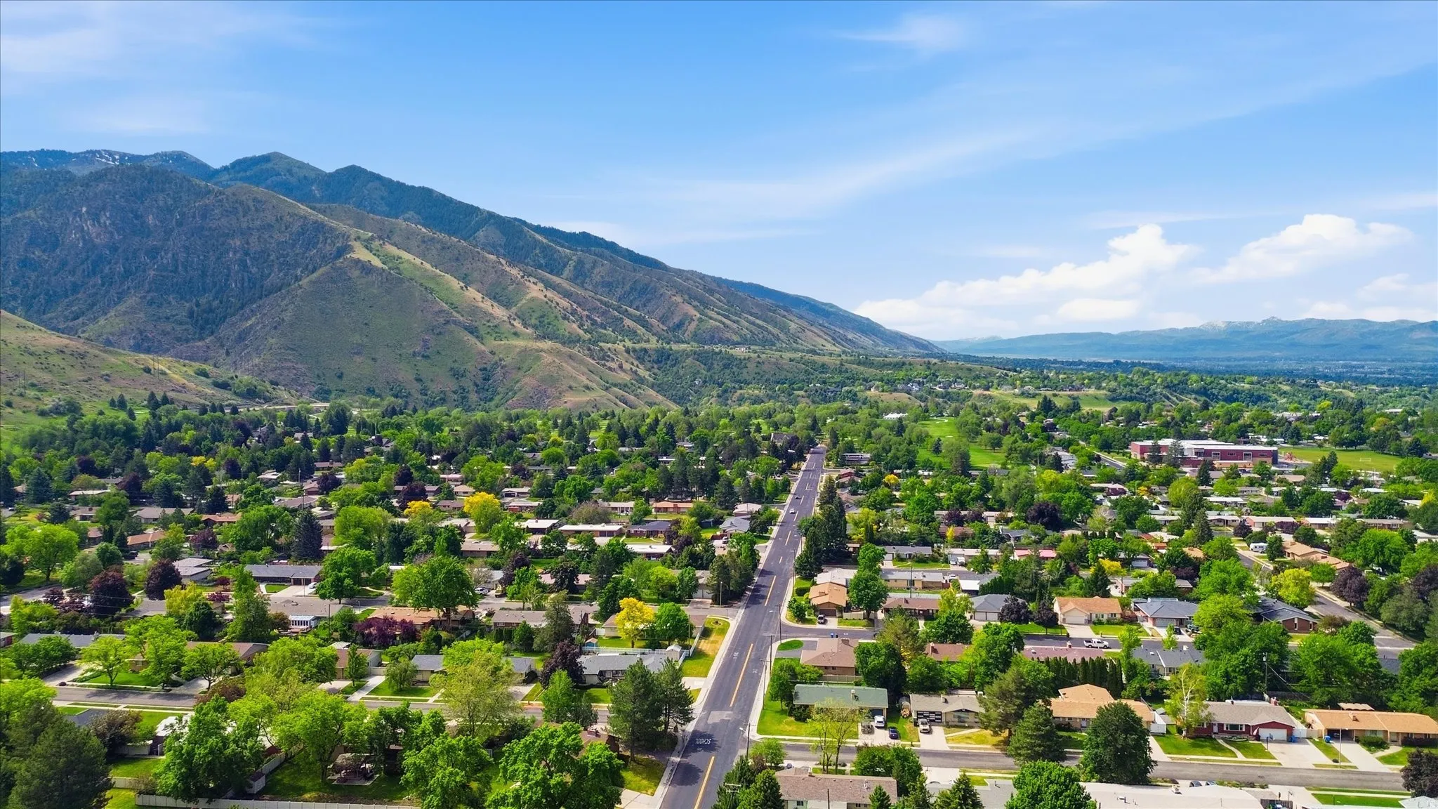 Expansive neighborhood showcasing a variety of single-story residences and mature tree canopies