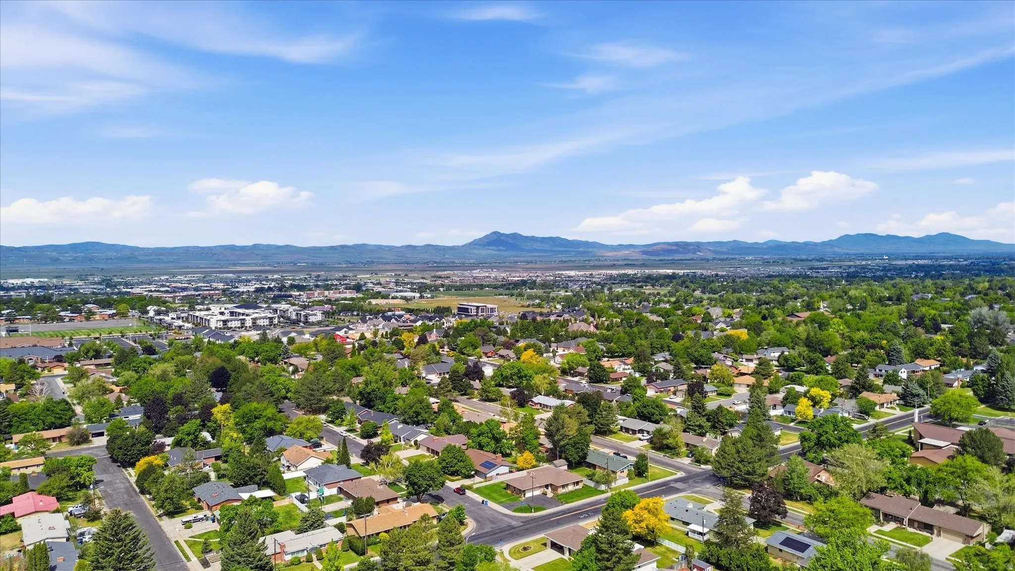 Aerial perspective showcasing a residential area with mature tree canopies, various home styles, and a mountain range in the distance under a blue sky