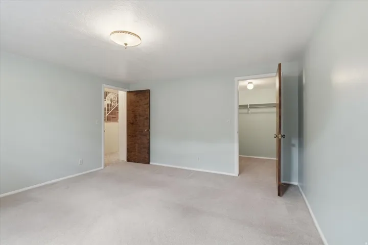 Carpeted room featuring light blue walls, a ceiling-mounted light fixture, and two wooden doors
