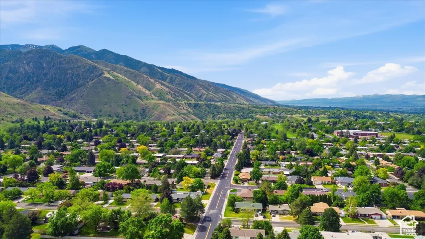 Expansive neighborhood showcasing a variety of single-story residences and mature tree canopies