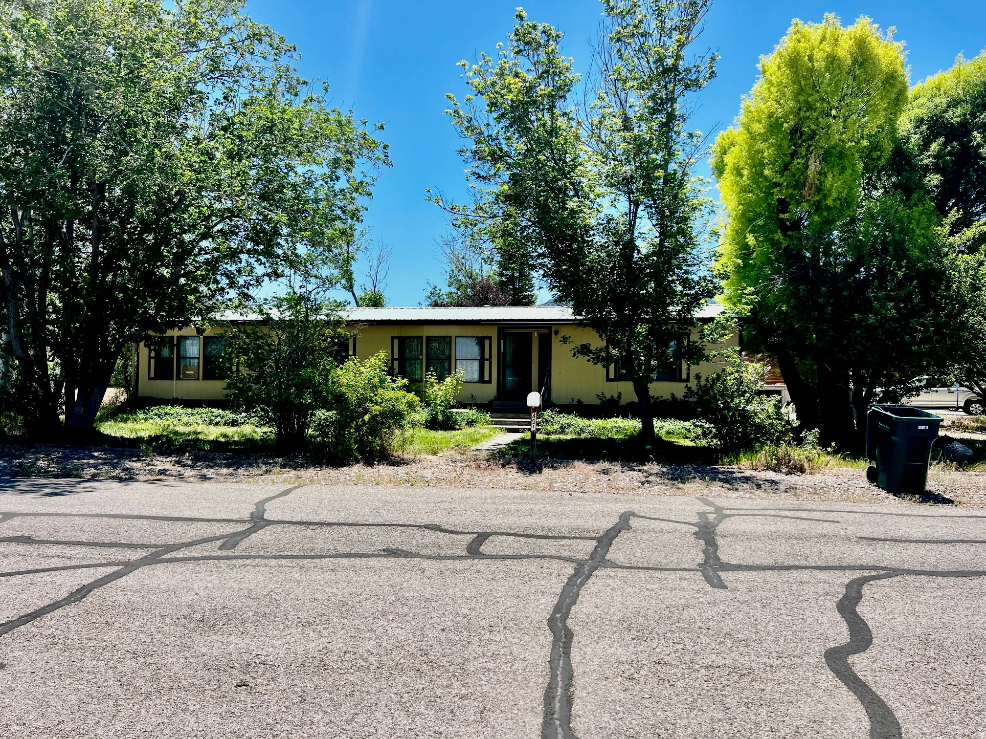 Ranch-style residence featuring a pale yellow exterior, multiple windows with dark trim, mature trees, and a metal roof
