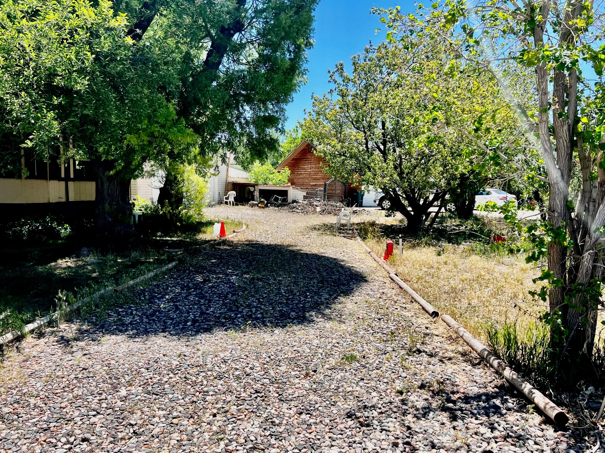 Gravel driveway bordered by mature trees and natural landscaping
