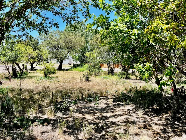 Expansive lot featuring mature trees providing natural shading