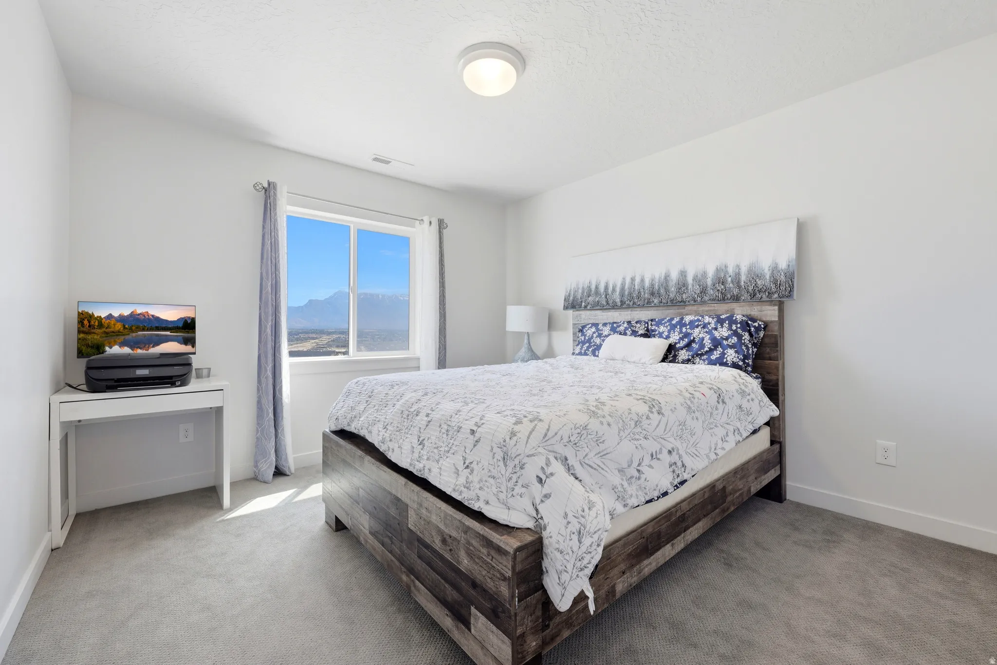 Bright room featuring soft gray carpeting and white painted walls