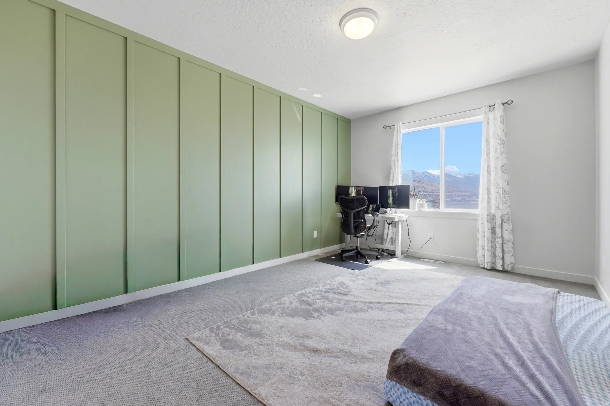 Expansive room featuring a striking accent wall with vertical paneling, plush carpeting, and a large window offering mountain scenery