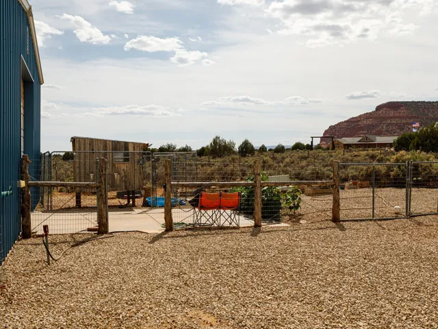 Chicken coop and backyard fencing