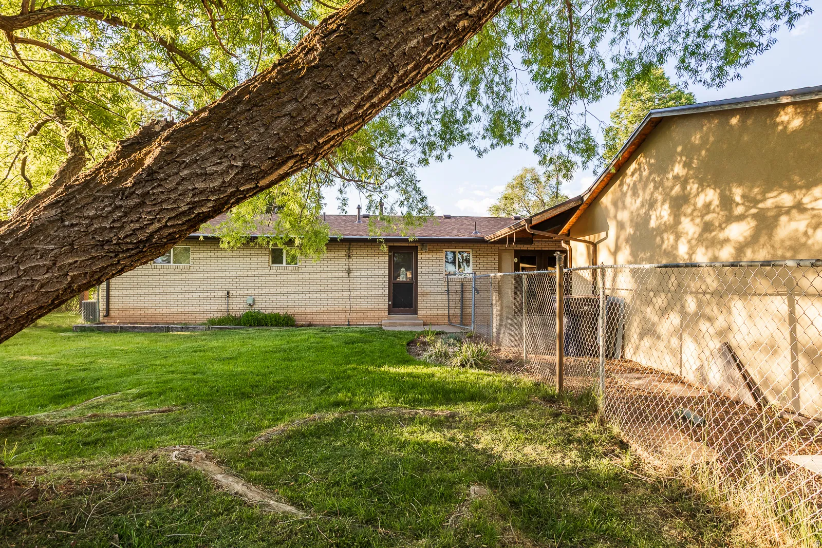 Expansive grassy yard featuring a mature tree, light brick exterior, and a chain-link fence