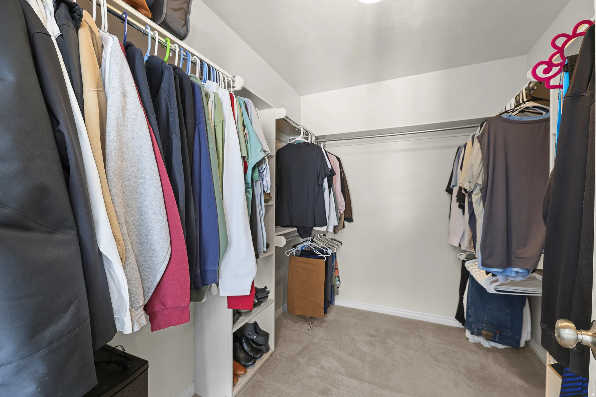 Walk-in closet featuring carpet flooring, built-in shelving, and multiple clothing rods