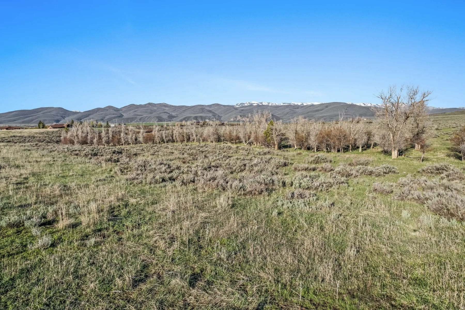 Expansive open land featuring natural grasses and sparse brush