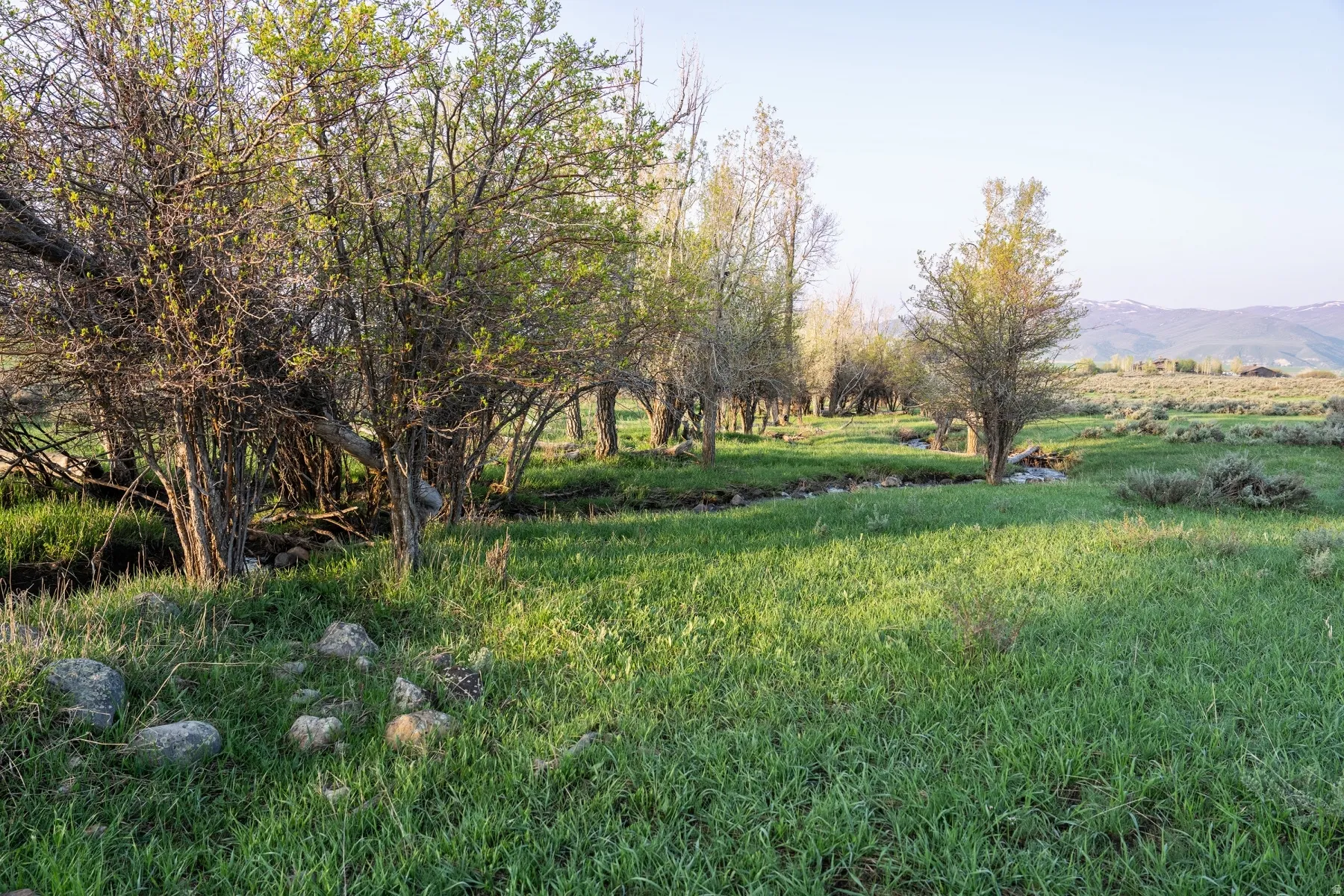 Expansive grassy terrain featuring scattered trees and a natural watercourse