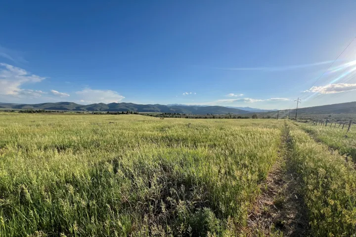 Expansive grassy field with a clear path, bordered by a rustic wire fence