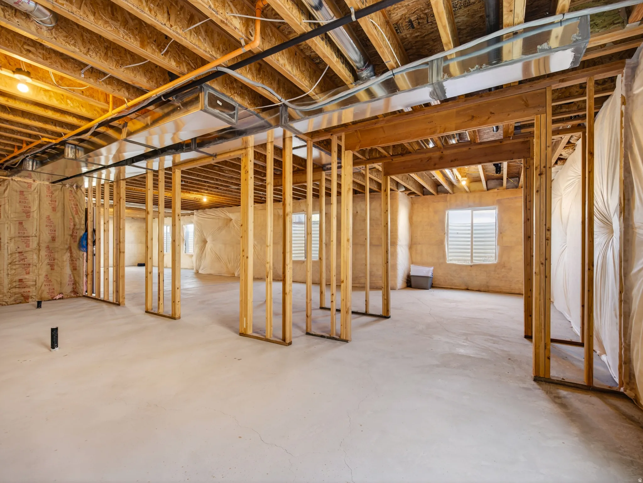 Unfinished basement