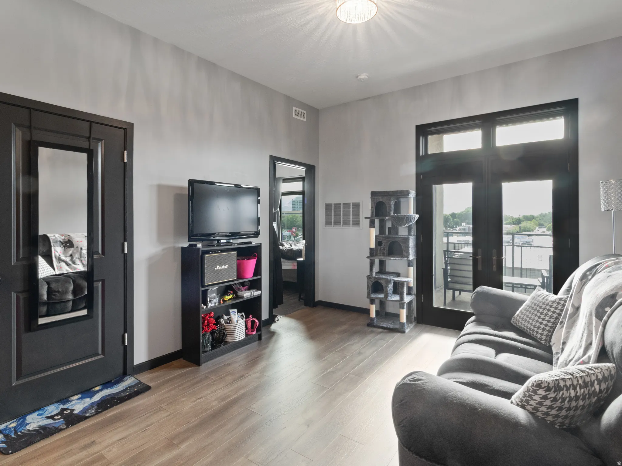 Living area featuring wood-finish flooring, light grey walls, and a ceiling-mounted light fixture
