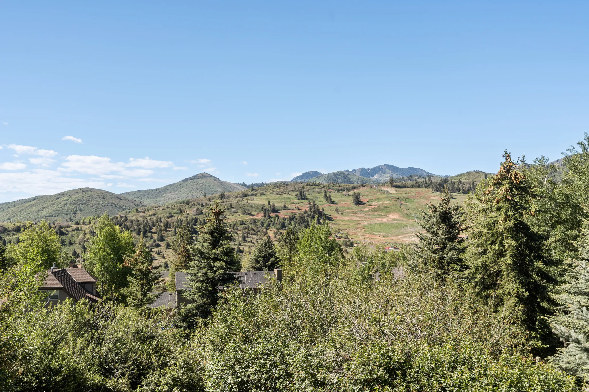 Mountainous terrain with green hills and scattered evergreen trees