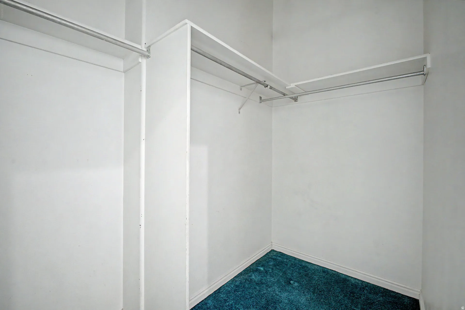 Walk-in closet featuring white walls, deep teal carpeting, built-in shelving, and multiple clothing rods