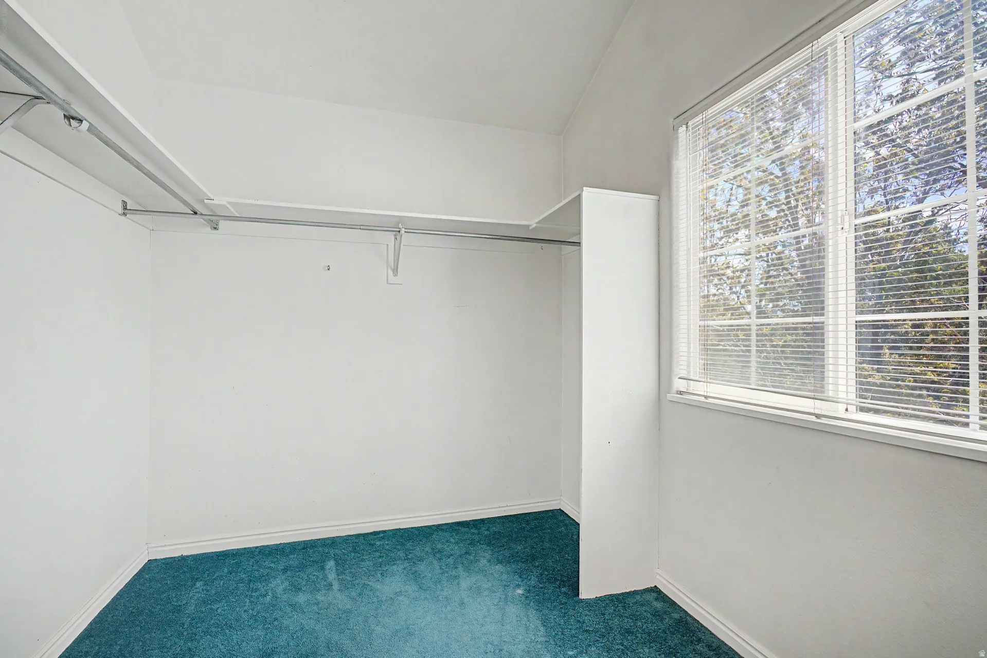 Room featuring a window with horizontal blinds, light-colored walls, and teal carpeting