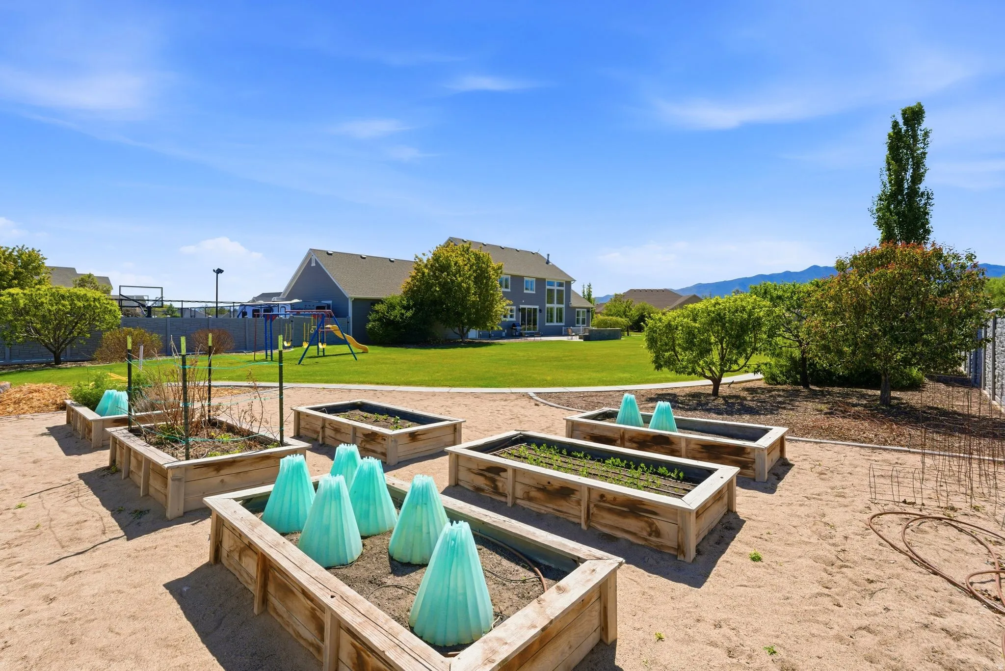 Landscaped garden area featuring multiple raised wooden planter beds